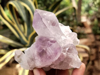 Natural Jacaranda Amethyst Quartz Cluster x 6 from Mumbwa, Zambia - Toprock Gemstones and Minerals