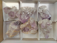 Natural Jacaranda Amethyst Quartz Cluster x 6 from Mumbwa, Zambia - Toprock Gemstones and Minerals