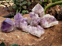 Natural Jacaranda Amethyst Quartz Cluster x 6 from Mumbwa, Zambia - Toprock Gemstones and Minerals