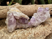 Natural Jacaranda Amethyst Quartz Cluster x 6 from Mumbwa, Zambia - Toprock Gemstones and Minerals