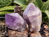 Natural Jacaranda Amethyst Quartz Cluster x 6 from Mumbwa, Zambia - Toprock Gemstones and Minerals