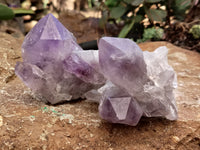 Natural Jacaranda Amethyst Quartz Cluster x 6 from Mumbwa, Zambia - Toprock Gemstones and Minerals