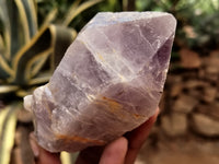 Natural Jacaranda Amethyst Quartz Cluster x 6 from Mumbwa, Zambia - Toprock Gemstones and Minerals