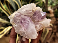 Natural Jacaranda Amethyst Quartz Cluster x 6 from Mumbwa, Zambia - Toprock Gemstones and Minerals