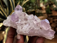 Natural Jacaranda Amethyst Quartz Cluster x 6 from Mumbwa, Zambia - Toprock Gemstones and Minerals