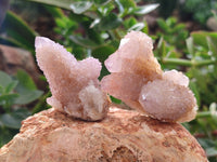 Natural Ametrine Spirit Quartz Crystals x 35 From Boekenhouthoek, South Africa - Toprock Gemstones and Minerals