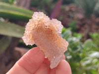 Natural Ametrine Spirit Quartz Crystals x 35 From Boekenhouthoek, South Africa - Toprock Gemstones and Minerals