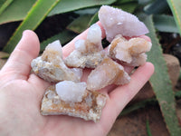 Natural Ametrine Spirit Quartz Crystals x 35 From Boekenhouthoek, South Africa - Toprock Gemstones and Minerals