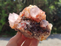 Natural Ametrine Spirit Quartz Clusters x 4 From Boekenhouthoek, South Africa - Toprock Gemstones and Minerals
