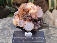Natural Ametrine Spirit Quartz Clusters x 4 From Boekenhouthoek, South Africa - Toprock Gemstones and Minerals