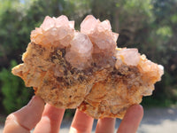 Natural Ametrine Spirit Quartz Clusters x 4 From Boekenhouthoek, South Africa - Toprock Gemstones and Minerals
