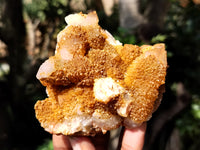 Natural Golden Solar Spirit Quartz Clusters x 12 From Boekenhouthoek, South Africa - Toprock Gemstones and Minerals