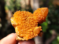 Natural Golden Solar Spirit Quartz Clusters x 12 From Boekenhouthoek, South Africa - Toprock Gemstones and Minerals