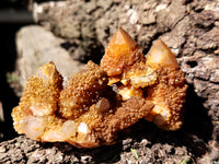 Natural Golden Solar Spirit Quartz Clusters x 12 From Boekenhouthoek, South Africa - Toprock Gemstones and Minerals