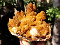 Natural Golden Solar Spirit Quartz Clusters x 12 From Boekenhouthoek, South Africa - Toprock Gemstones and Minerals