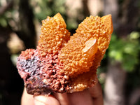 Natural Golden Solar Spirit Quartz Clusters x 12 From Boekenhouthoek, South Africa - Toprock Gemstones and Minerals