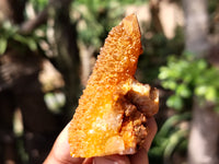 Natural Golden Solar Spirit Quartz Clusters x 12 From Boekenhouthoek, South Africa - Toprock Gemstones and Minerals