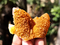 Natural Golden Solar Spirit Quartz Clusters x 12 From Boekenhouthoek, South Africa - Toprock Gemstones and Minerals