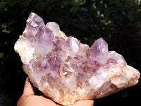 Natural Jacaranda Amethyst Quartz Clusters x 2 From Mumbwa, Zambia - Toprock Gemstones and Minerals