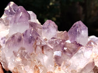 Natural Jacaranda Amethyst Quartz Clusters x 2 From Mumbwa, Zambia - Toprock Gemstones and Minerals