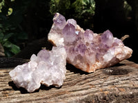 Natural Jacaranda Amethyst Quartz Clusters x 2 From Mumbwa, Zambia - Toprock Gemstones and Minerals