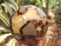 Polished Septerye Spheres x 4 From Mahajanga, Madagascar - Toprock Gemstones and Minerals