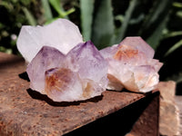 Natural Amethyst Spirit Quartz Clusters x 12 From Boekenhouthoek, South Africa - Toprock Gemstones and Minerals