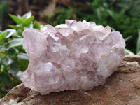 Natural Jacaranda Amethyst Quartz Clusters x 6 From Mumbwa, Zambia - Toprock Gemstones and Minerals