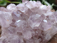 Natural Jacaranda Amethyst Quartz Clusters x 6 From Mumbwa, Zambia - Toprock Gemstones and Minerals