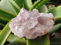 Natural Jacaranda Amethyst Quartz Clusters x 6 From Mumbwa, Zambia - Toprock Gemstones and Minerals