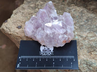 Natural Jacaranda Amethyst Quartz Clusters x 6 From Mumbwa, Zambia - Toprock Gemstones and Minerals