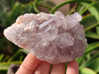 Natural Jacaranda Amethyst Quartz Clusters x 6 From Mumbwa, Zambia - Toprock Gemstones and Minerals