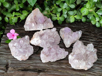 Natural Jacaranda Amethyst Quartz Clusters x 6 From Mumbwa, Zambia - Toprock Gemstones and Minerals