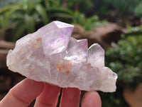 Natural Jacaranda Amethyst Quartz Clusters x 6 From Mumbwa, Zambia - Toprock Gemstones and Minerals