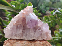 Natural Jacaranda Amethyst Quartz Clusters x 6 From Mumbwa, Zambia - Toprock Gemstones and Minerals