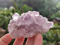Natural Jacaranda Amethyst Quartz Clusters x 6 From Mumbwa, Zambia - Toprock Gemstones and Minerals