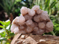 Natural Amethyst Spirit Quartz Clusters x 6 From Boekenhouthoek, South Africa - Toprock Gemstones and Minerals