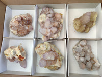 Natural Amethyst Spirit Quartz Clusters x 6 From Boekenhouthoek, South Africa - Toprock Gemstones and Minerals