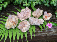 Natural Amethyst Spirit Quartz Clusters x 6 From Boekenhouthoek, South Africa - Toprock Gemstones and Minerals