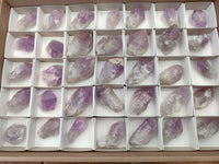 Natural Jacaranda Amethyst Quartz Crystals x 35 From Mumbwa, Zambia - Toprock Gemstones and Minerals