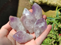 Natural Jacaranda Amethyst Quartz Crystals x 35 From Mumbwa, Zambia - Toprock Gemstones and Minerals