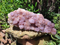 Natural Lilac Amethyst Spirit Quartz Cluster x 1 From Boekenhouthoek, South Africa - Toprock Gemstones and Minerals