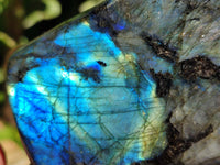 Polished Labradorite Standing Free Forms x 2 From Tulear, Madagascar - Toprock Gemstones and Minerals