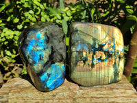 Polished Labradorite Standing Free Forms x 2 From Tulear, Madagascar - Toprock Gemstones and Minerals