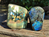 Polished Labradorite Standing Free Forms x 2 From Tulear, Madagascar - Toprock Gemstones and Minerals