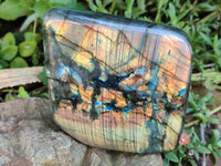 Polished Labradorite Standing Free Forms x 2 From Tulear, Madagascar - Toprock Gemstones and Minerals