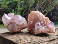 Natural Jacaranda Amethyst Quartz Clusters x 2 From Mumbwa, Zambia - Toprock Gemstones and Minerals