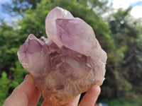 Natural Jacaranda Amethyst Quartz Clusters x 2 From Mumbwa, Zambia - Toprock Gemstones and Minerals