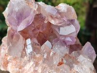 Natural Jacaranda Amethyst Quartz Clusters x 2 From Mumbwa, Zambia - Toprock Gemstones and Minerals