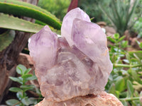 Natural Jacaranda Amethyst Quartz Clusters x 2 From Mumbwa, Zambia - Toprock Gemstones and Minerals